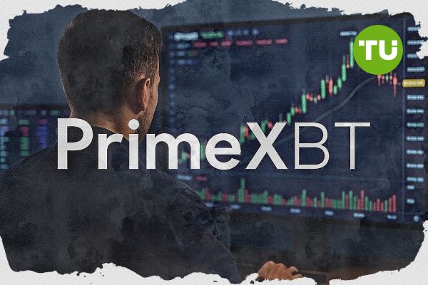 Understanding the Current Down Status of PrimeXBT What Users Need to Know